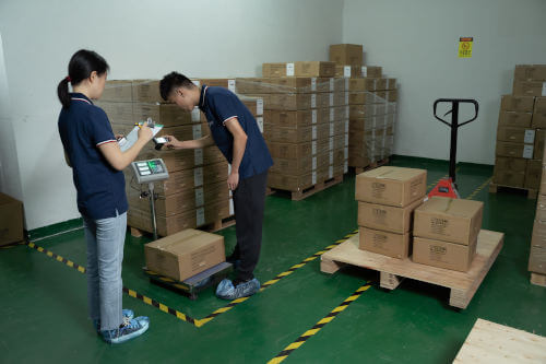 Inspectors photographing carton weight