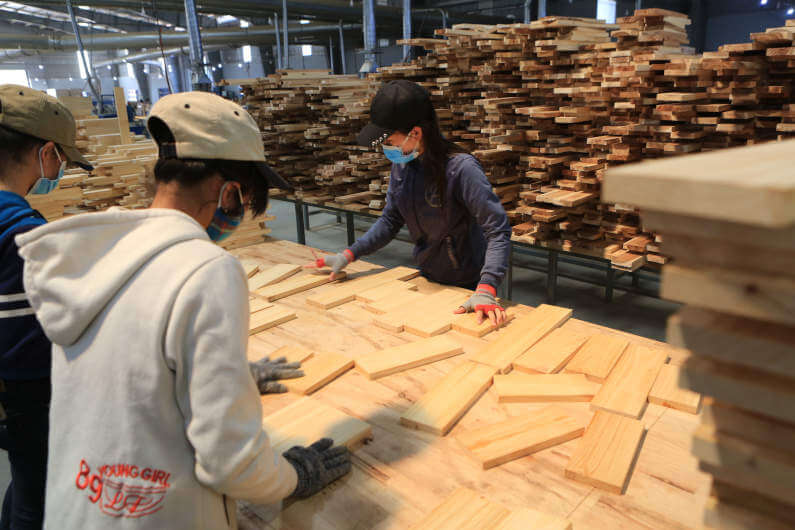 Acacia wood panel manufacturing in Vietnam